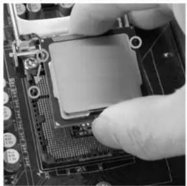 BIOSTAR Hi-Fi H87S3+ - Install Central Processing Unit (CPU) - 6