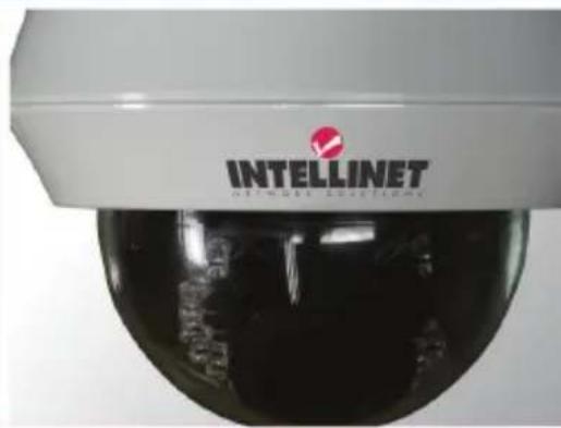 INTELLINET