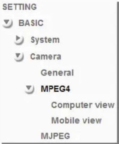 SETTING ▼ BASIC ► System ▼ Camera General ▼ MPEG4 Computer view Mobile view MJPEG