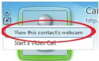 View this contact's webcam Start a Video Call