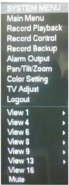 SYSTEM MENU Main Menu Record Playback Record Control Record Backup Alarm Output Pan/Tilt/Zoom Color Setting TV Adjust Logout View 1 View 4 View 6 View 8 View 9 View 13 View 16 Mute