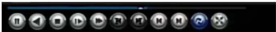 Screenshot of a media player control bar with various playback and audio buttons