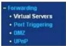 EBODE IPV68 - TP-LINK: - 1