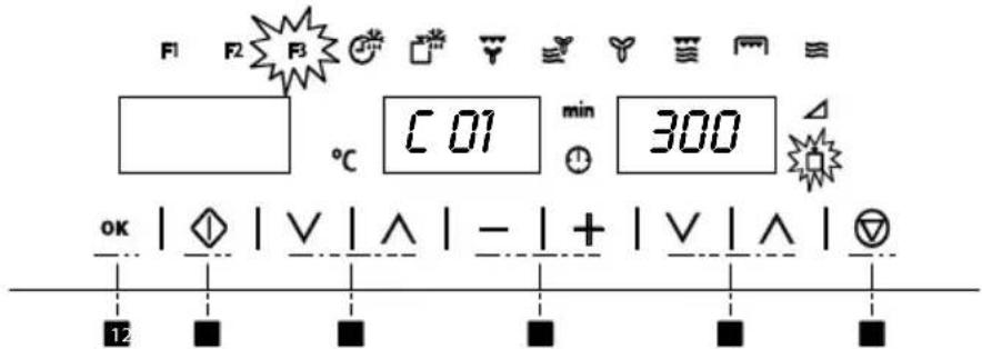 F1 F2 F3 °C C 01 min 300 OK | ◇ | ∨ | ∧ | - | + | ∨ | ∧ | ▼ 12 ■ ■ ■ ■ ■ ■