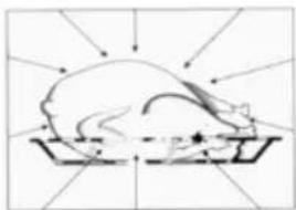 REX FQM463CXE - VANTAGGI DEI FORNI A MICROONDE - 3