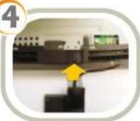 ELO 17A2 - Tyco Electronics - 7