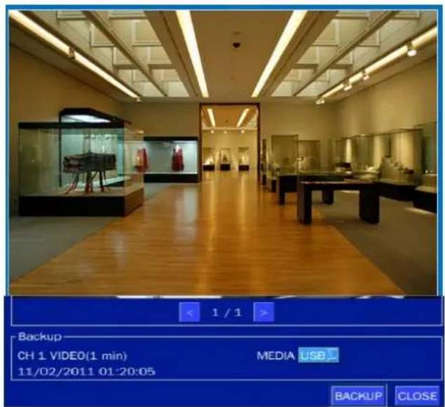 1 / 1 Backup CH 1 VIDEO(1 min) MEDIA USB 11/02/2011 01:20:05 BACKUP CLOSE