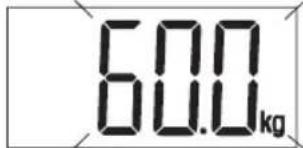 60.0 kg