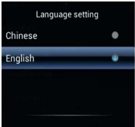 Language setting Chinese English