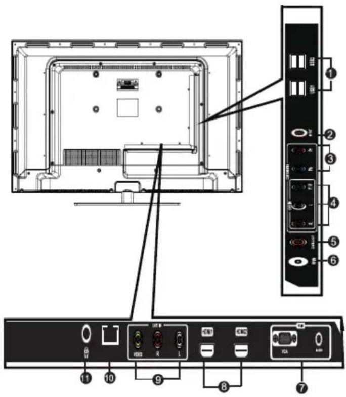 Diagram of a computer monitor rear panel with labeled ports and connectors, showing internal components and external panel layout.