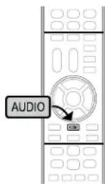 AUDIO