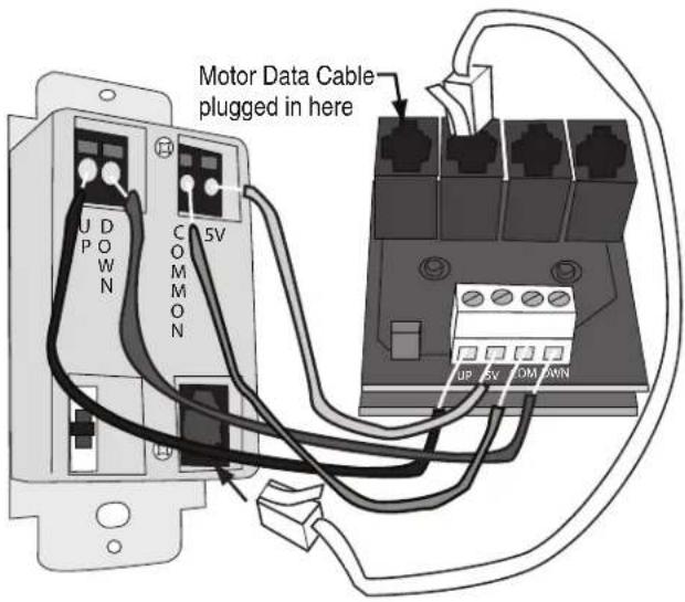 Motor Data Cable plugged in here
