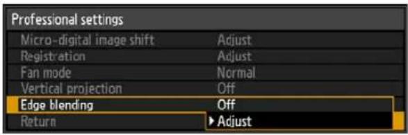 Professional settings Micro-digital image shift Adjust Registration Adjust Fan mode Normal Vertical projection Off Edge blending Off Return ▶ Adjust