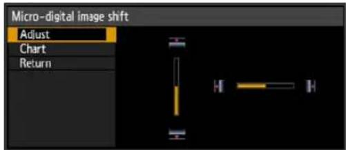 Micro-digital image shift Adjust Chart Return