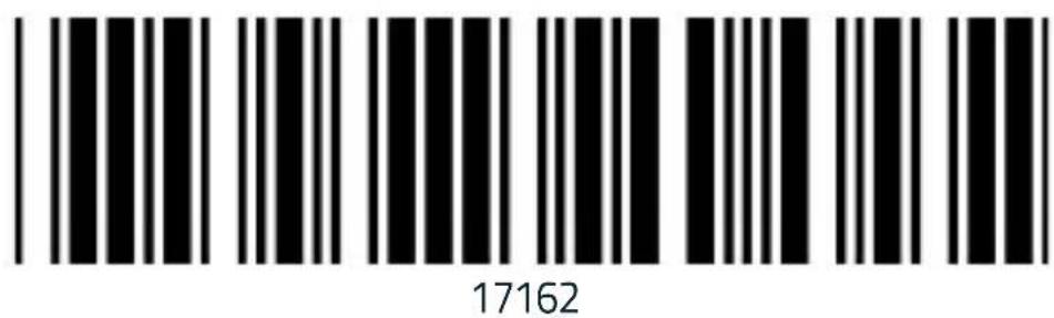 17162