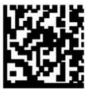DATALOGIC Joya Touch Plus - 2D Codes - 1