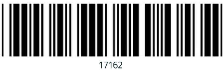 17162