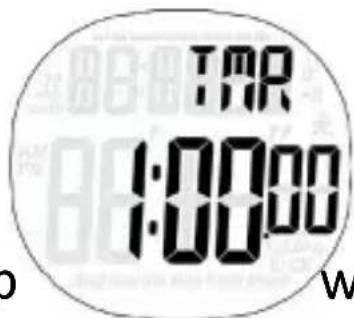 TAR 1:00:00 W