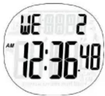 WE: 2 AM 12:36.48