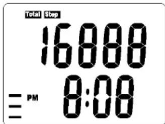 Total Step 16000 ≡ PM 8:00