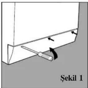 Şekil 1