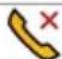 BLACKBERRY Storm 9550 - Phone status indicators - 1