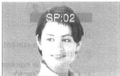SP:02