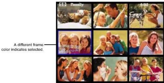 3D Family A different frame color indicates selected.