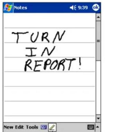 TURN IN REPORT!