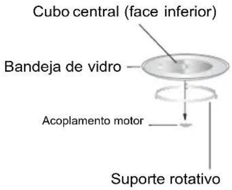 Cubo central (face inferior) Bandeja de vidro Acoplamento motor Suporte rotativo