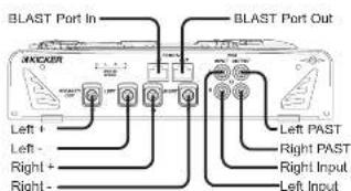 BLAST Port In NICKER BLAST Port Out Left + Left - Right + Right - Left PAST Right PAST Right Input Left Input