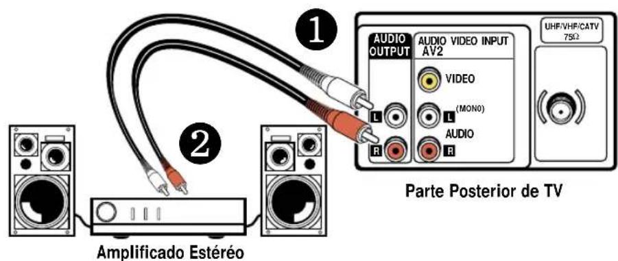 1 AUDIO OUTPUT AUDIO VIDEO INPUT AV2 VIDEO (MONO) AUDIO R UHF/VHF/CATV 75Ω 2 Amplificado Estéréo Parte Posterior de TV