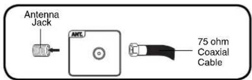 Antenna Jack ANTL 75 ohm Coaxial Cable