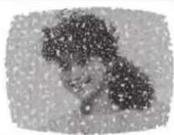 SANYO DP26671 - SNOW - 1