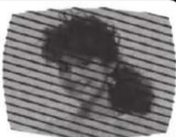 SANYO DP19241 - RADIO FREQUENCY INTERFERENCE (RFI) - 1