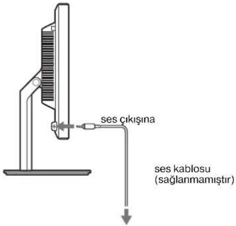 ses çıkışına ses kablosu (sağlanmamıştır)