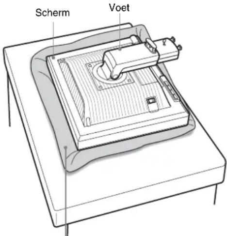 Scherm Voet