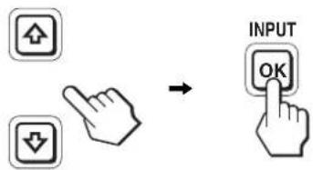 INPUT OK