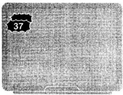 37