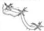 CLARION CC1601A - Wiring Precautions - 2