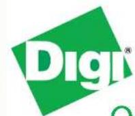 Digi Connect WAN - 1