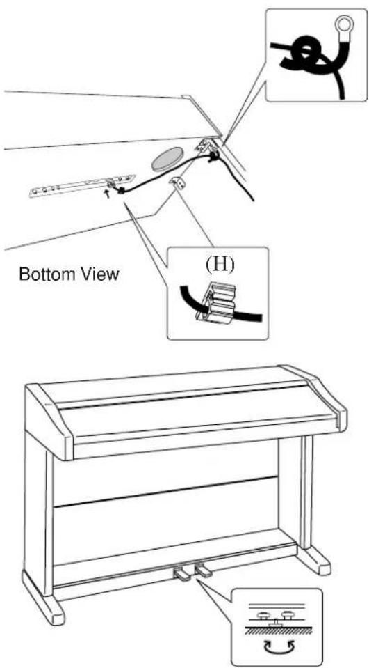 Bottom View (H)