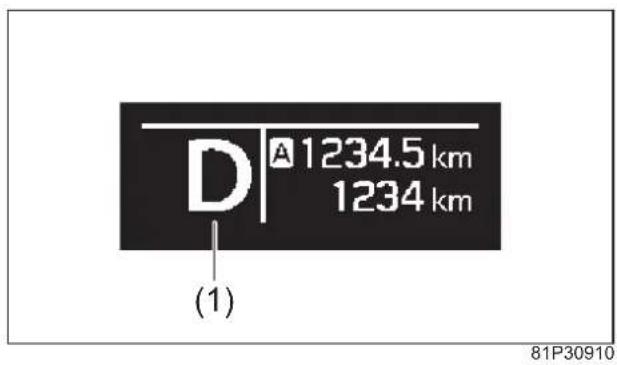 D A 1234.5 km 1234 km (1) 81P30910