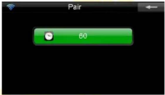Pair 60