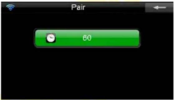 Pair 60