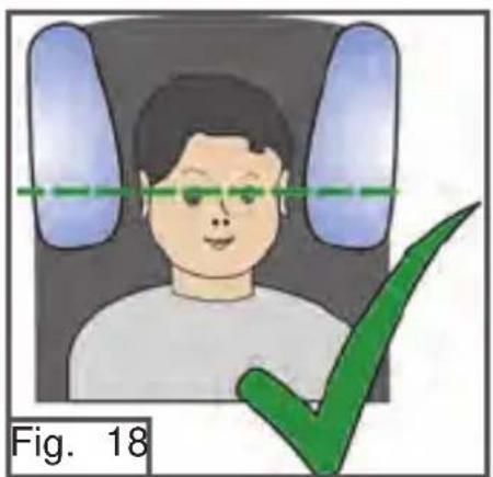 Fig. 18