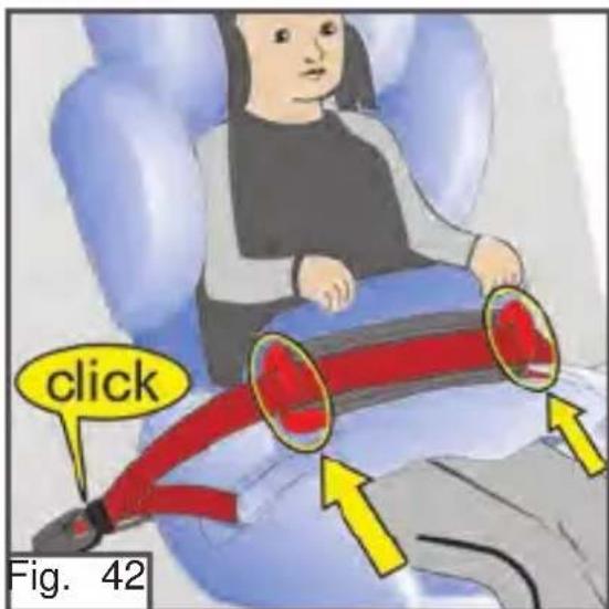 click Fig. 42