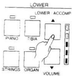 LOWER Piano TIBIA STRINGS ORGAN VOLUME LOWER ACCOMP