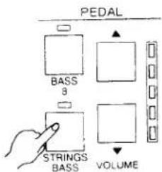 PEDAL BASS 3 STRINGS BASS VOLUME