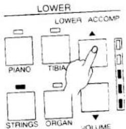 graph TD A["Piano"] --> B["TIBIA"] C["STRINGS"] --> D["ORGAN"] E["VOLUME"] --> F["ACCOMP"] style A fill:#fff,stroke:#000 style C fill:#fff,stroke:#000 style E fill:#fff,stroke:#000 style B fill:#fff,stroke:#000 style D fill:#fff,stroke:#000 style F fill:#fff,stroke:#000
